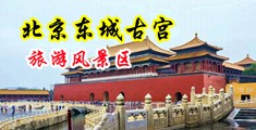 强奸潮吹中国北京-东城古宫旅游风景区